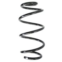 Fahrwerksfeder-Set vorne Schraubenfeder 302mm SPIDAN...