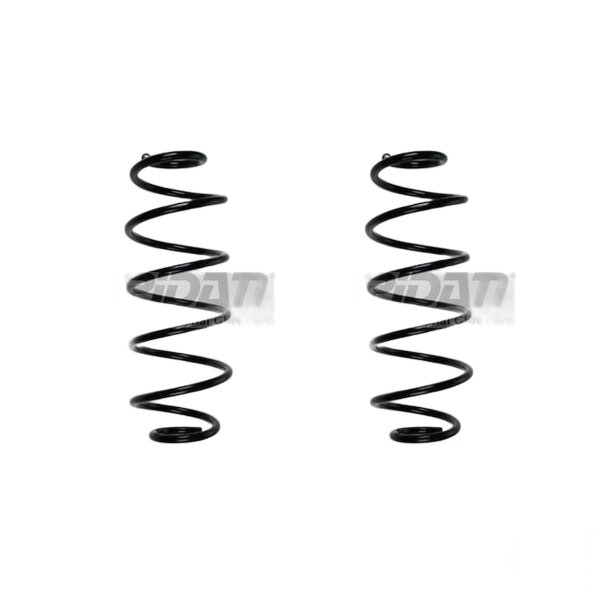 Fahrwerksfedern-Set Spiralfeder SPIDAN für u.a. CITROËN C2 JM