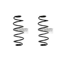 Fahrwerksfedern-Set Spiralfeder SPIDAN für u.a....