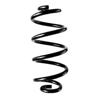 Fahrwerksfeder-Set hinten Schraubenfeder 250mm SPIDAN...