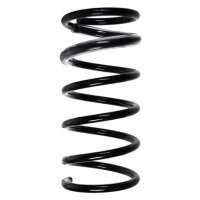 Fahrwerksfeder-Set hinten Schraubenfeder 308mm SPIDAN...