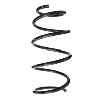 Fahrwerksfedern-Set vorne Schraubenfeder 382mm SPIDAN...
