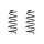 Fahrwerksfeder-Set vorne Schraubenfeder 315mm SPIDAN für OPEL ASTRA H