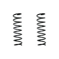Suspension spring set rear coil spring 394mm SPIDAN for...