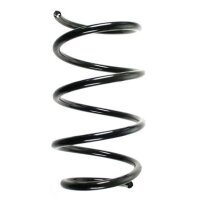 Fahrwerksfeder-Set vorne Schraubenfeder 305mm SPIDAN...