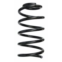 Fahrwerksfeder-Set hinten Schraubenfeder 243mm SPIDAN...