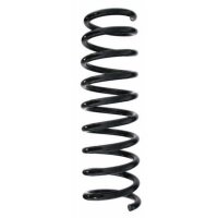 Fahrwerksfeder-Set hinten Schraubenfeder 318mm SPIDAN...