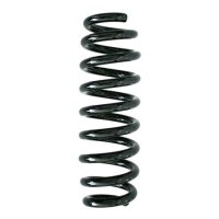 Fahrwerksfeder-Set hinten Schraubenfeder 316mm SPIDAN...