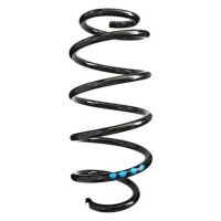 Fahrwerksfeder-Set SPIDAN für VW GOLF V