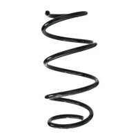 Fahrwerksfeder-Set vorne Schraubenfeder 317mm SPIDAN...
