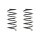 Suspension spring set front coil spring 300mm SPIDAN for RENAULT TWINGO I