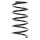 Suspension spring set front coil spring 300mm SPIDAN for RENAULT TWINGO I