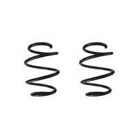 Suspension spring set front coil spring 240mm SPIDAN for...