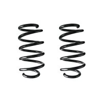 Fahrwerksfeder-Set hinten Schraubenfeder 276mm SPIDAN...