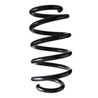 Fahrwerksfeder-Set hinten Schraubenfeder 276mm SPIDAN...