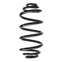 Fahrwerksfeder-Set hinten Schraubenfeder 317mm SPIDAN...