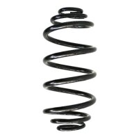 Suspension spring set rear coil spring 317mm SPIDAN for...