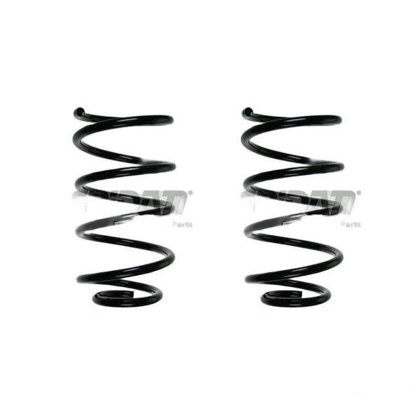 Fahrwerksfeder-Set vorne Schraubenfeder 302mm SPIDAN für FORD GRAND C-MAX