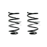 Fahrwerksfeder-Set vorne Schraubenfeder 302mm SPIDAN...