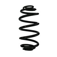 Fahrwerksfeder-Set hinten Schraubenfeder 295mm SPIDAN...