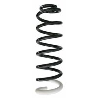 Fahrwerksfeder-Set hinten Schraubenfeder 344mm SPIDAN...