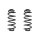 Fahrwerksfeder-Set hinten Schraubenfeder 336mm SPIDAN für BMW X5 (E70)