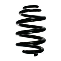 Fahrwerksfeder-Set hinten Schraubenfeder 255mm SPIDAN...