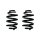 Fahrwerksfeder-Set hinten Schraubenfeder 255mm SPIDAN für VW TRANSPORTER T6