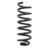 Fahrwerksfeder-Set hinten Schraubenfeder 323mm SPIDAN...