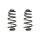 Fahrwerksfeder-Set hinten Schraubenfeder 291mm SPIDAN für AUDI A4 B6