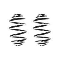 Suspension spring set rear coil spring 260mm SPIDAN for...