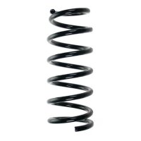 Fahrwerksfeder-Set hinten Schraubenfeder 278mm SPIDAN...