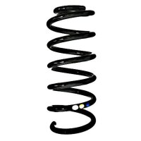 Fahrwerksfeder-Set hinten Schraubenfeder 244mm SPIDAN...