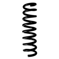 Fahrwerksfeder-Set hinten Schraubenfeder 323mm SPIDAN...