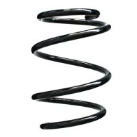 Fahrwerksfeder-Set vorne Schraubenfeder 248mm SPIDAN...