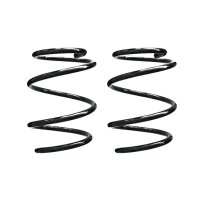 Fahrwerksfedern-Set vorne Schraubenfeder 248mm SPIDAN...