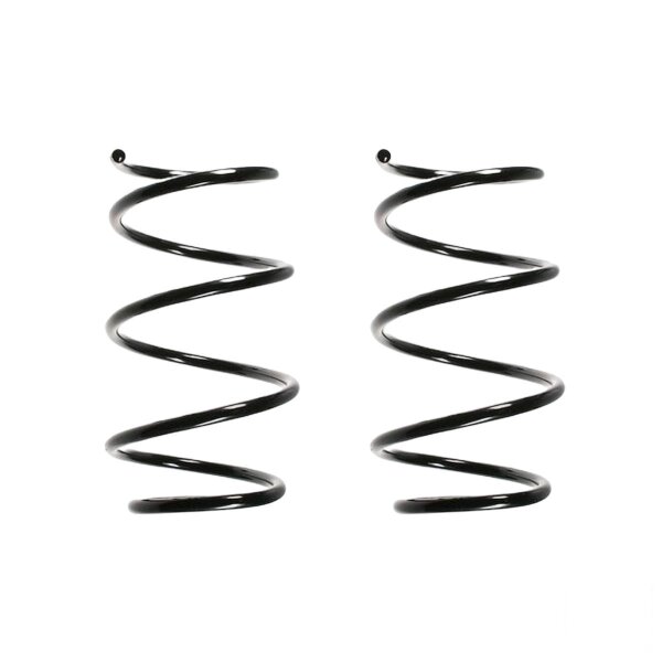 Suspension spring set Replacement Fit SPIDAN for BMW 5 E39