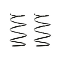 Suspension spring set Replacement Fit SPIDAN for BMW 5 E39
