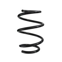 Fahrwerksfeder-Set vorne Schraubenfeder 251mm SPIDAN...