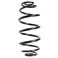 Fahrwerksfeder-Set hinten Schraubenfeder 307mm SPIDAN...