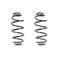 Suspension spring set rear coil spring 307mm SPIDAN for...