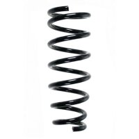 Fahrwerksfeder-Set hinten Schraubenfeder 299mm SPIDAN...