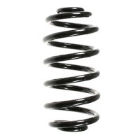 Suspension spring set rear coil spring 272mm SPIDAN for...