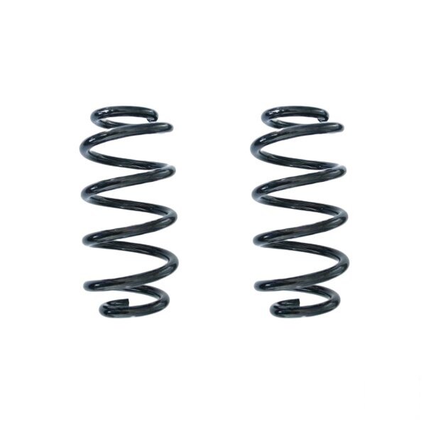 Suspension spring set rear coil spring 246mm SPIDAN for BMW X1 F48