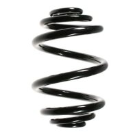 Fahrwerksfeder-Set hinten Schraubenfeder 227mm SPIDAN...