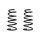 Suspension spring set front coil spring 291mm SPIDAN for DAIHATSU TERIOS J2