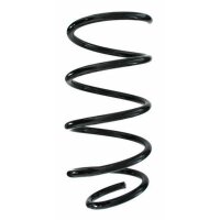 Fahrwerksfeder-Set vorne Schraubenfeder 308mm SPIDAN...