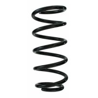 Fahrwerksfeder-Set hinten Schraubenfeder 245mm SPIDAN...