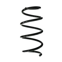 Fahrwerksfeder-Set vorne Schraubenfeder 293mm SPIDAN...