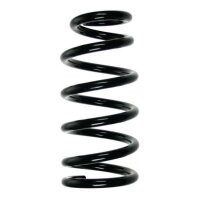 Fahrwerksfeder-Set hinten Schraubenfeder 273mm SPIDAN...